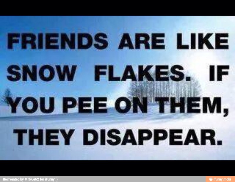 SNOW FLAKES. IF
YOU PEE.ON THEM,
THEY DISAPPEAR.