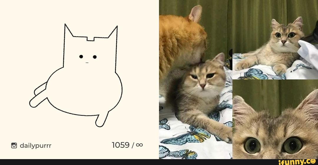 Meowhawk (Reverse mohawk) - iFunny