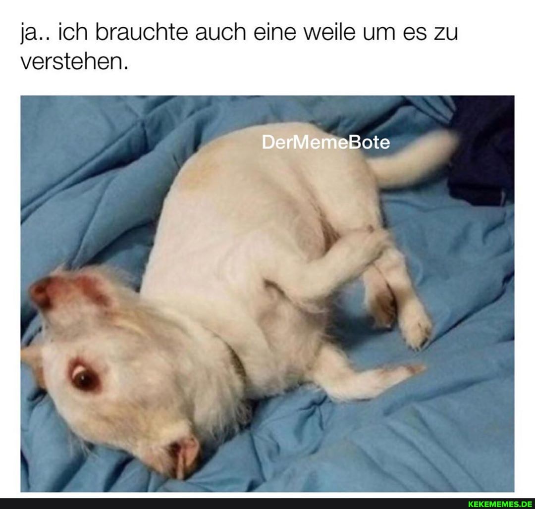 ja.. ich brauchte auch eine weile um es zu verstehen.
Der VlerieBote