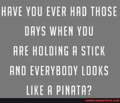 HAVE YOU EVER HAD THOSE DAYS WHEN YOU ARE HOLDING A STICK AND EVERYBODY LOOKS LIKE A PINATA?