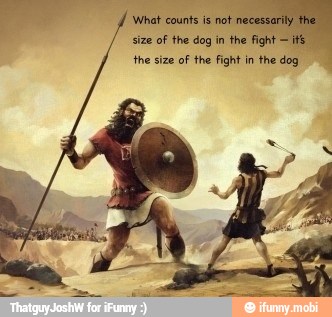 size of the dog ee
the size of the fight in the dog