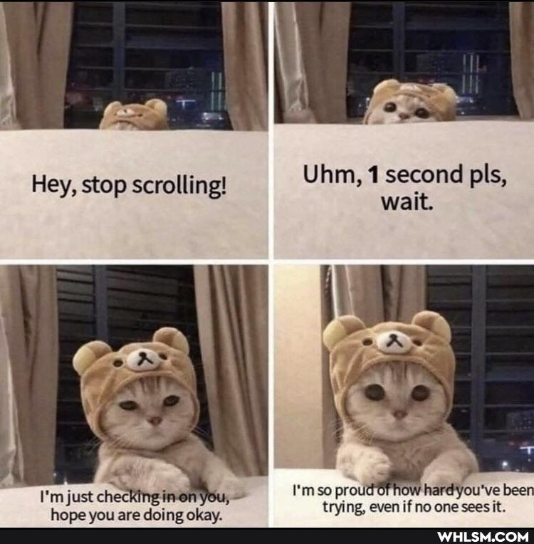 Hey, stop scrolling!
I'm just
Uhm, second pls,
wait.
I'mso proud tryine Of how hard you've bee ing, even if no one sees it.
