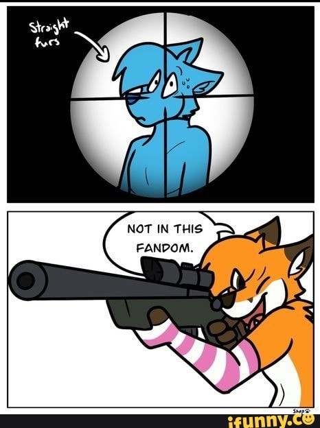 Femboyfoxes Memes Best Collection Of Funny Femboyfoxes Pictures On Ifunny 0653