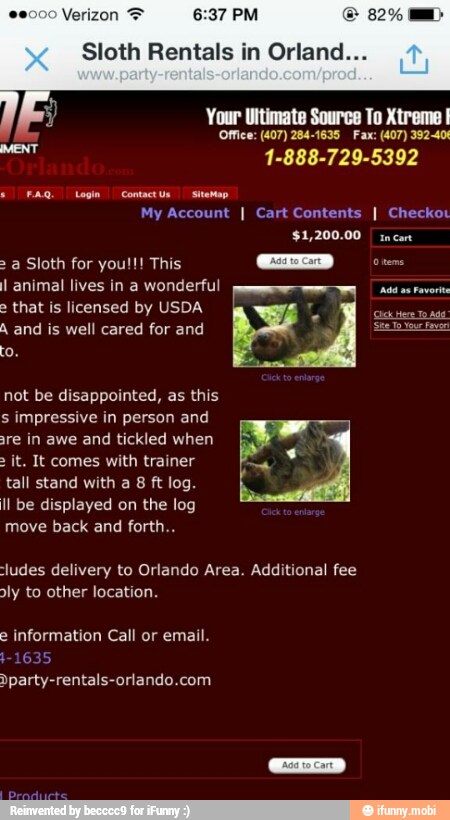 Sloth Rentals in Orland...
My Account I Cart Contents I Checkot
$1,200.00 incant
wonderful. oso Fee that is licensed by USDA r
A and is well cared for and
not be disappointed, as this
in and
tickled when
8