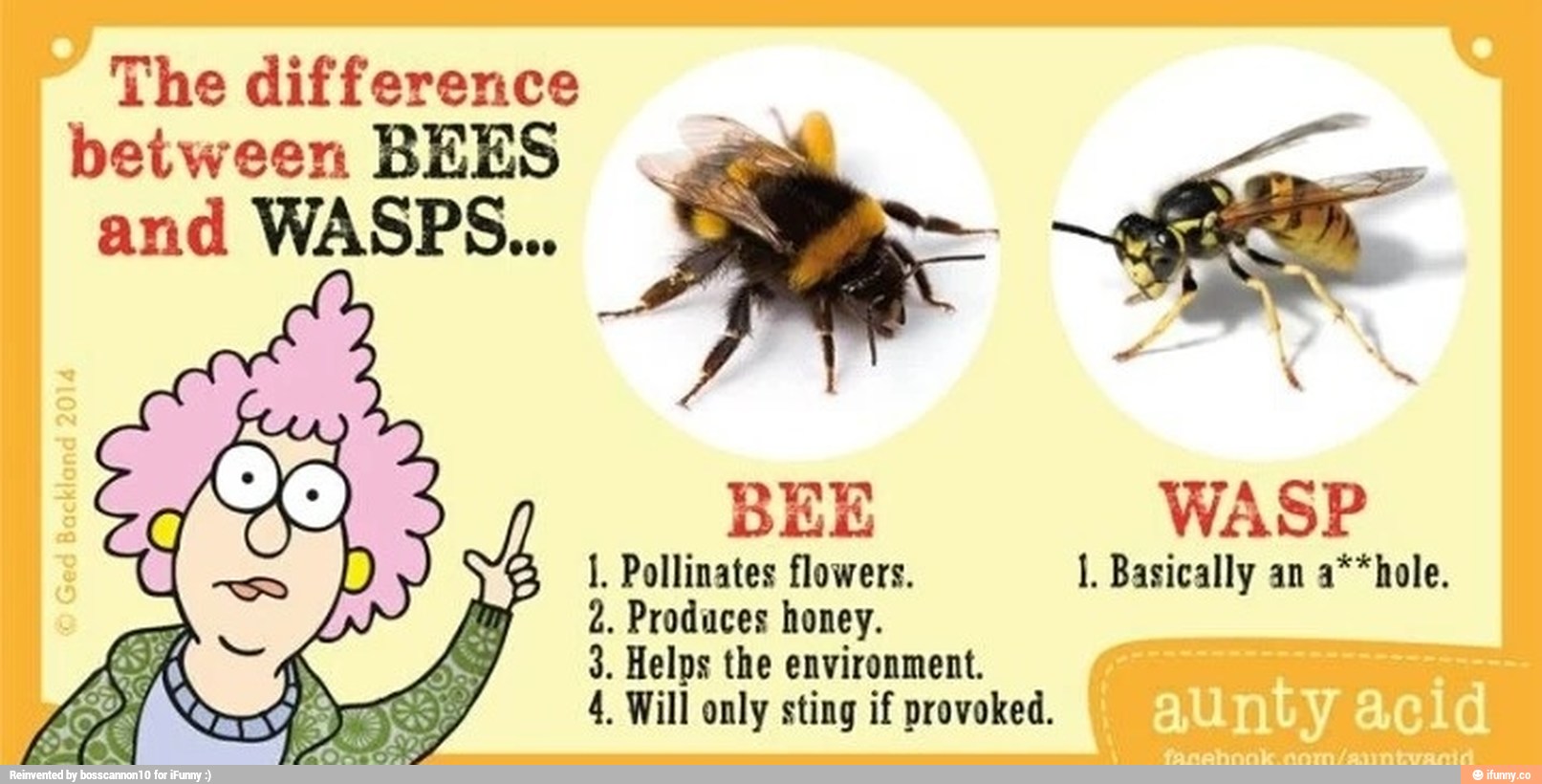 BEE WASP . 