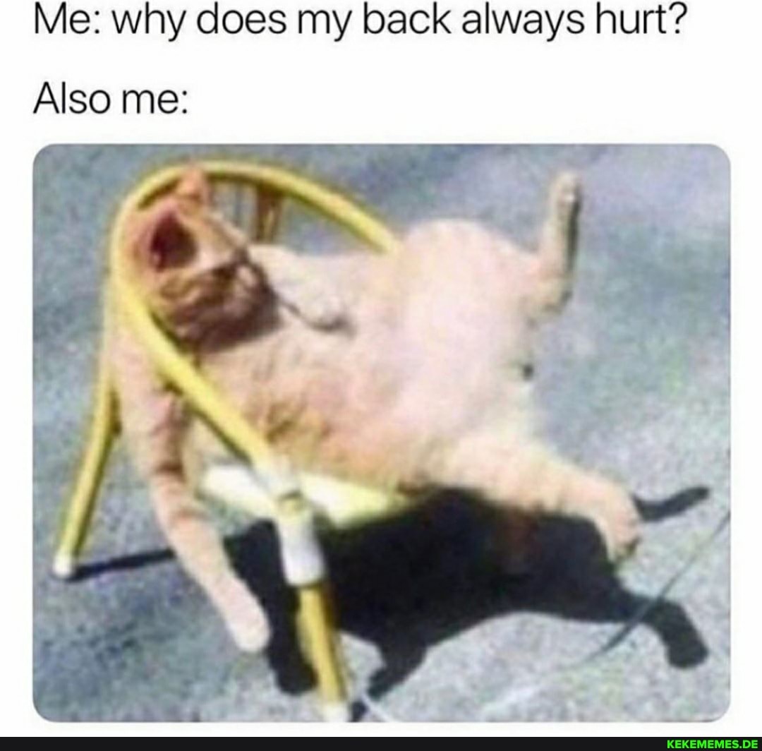 Me: why does my back always hurt?
Also me: