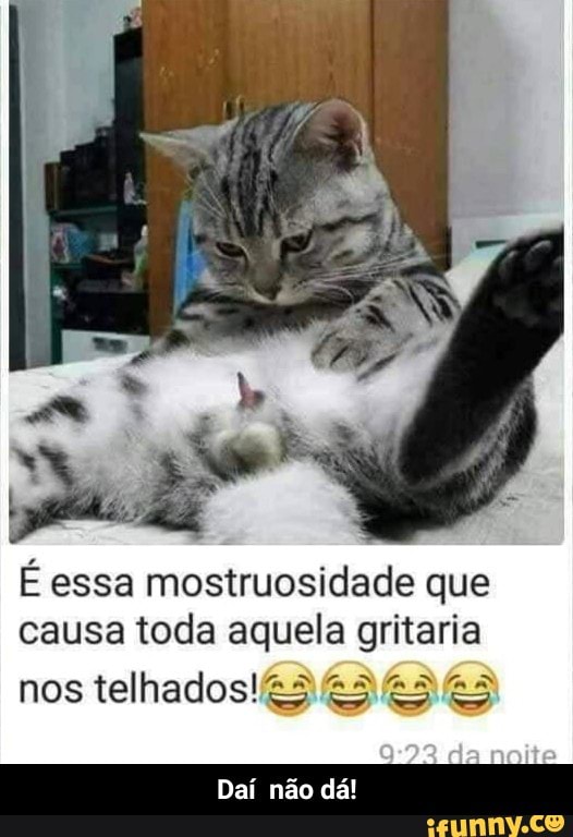 É essa mostruosidade que
causa toda aquela gritaria
nos telhados!23 25 €5/€5 - Daí não dá!