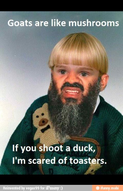 If you shoot
E duck,
I'm scared of toasigs>-