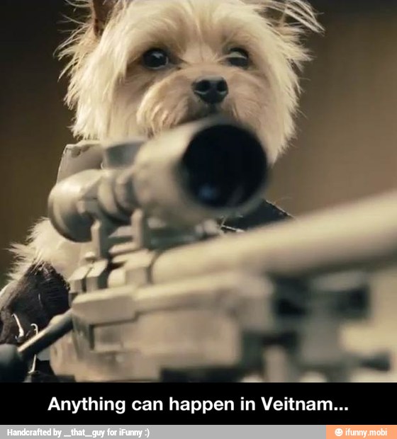 Anything can happen in Veitnam... - Anything can happen in Veitnam...