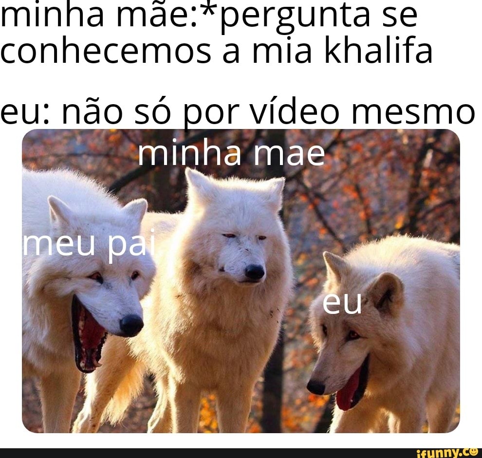 minha pergunta mia se conhecemos a mia khalifa
eu: não só por vídeo mesmo minha mae meu pê
% eu