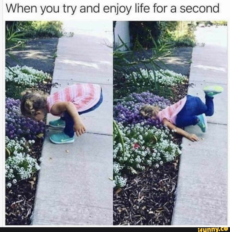 id you try and enjoy life for a second