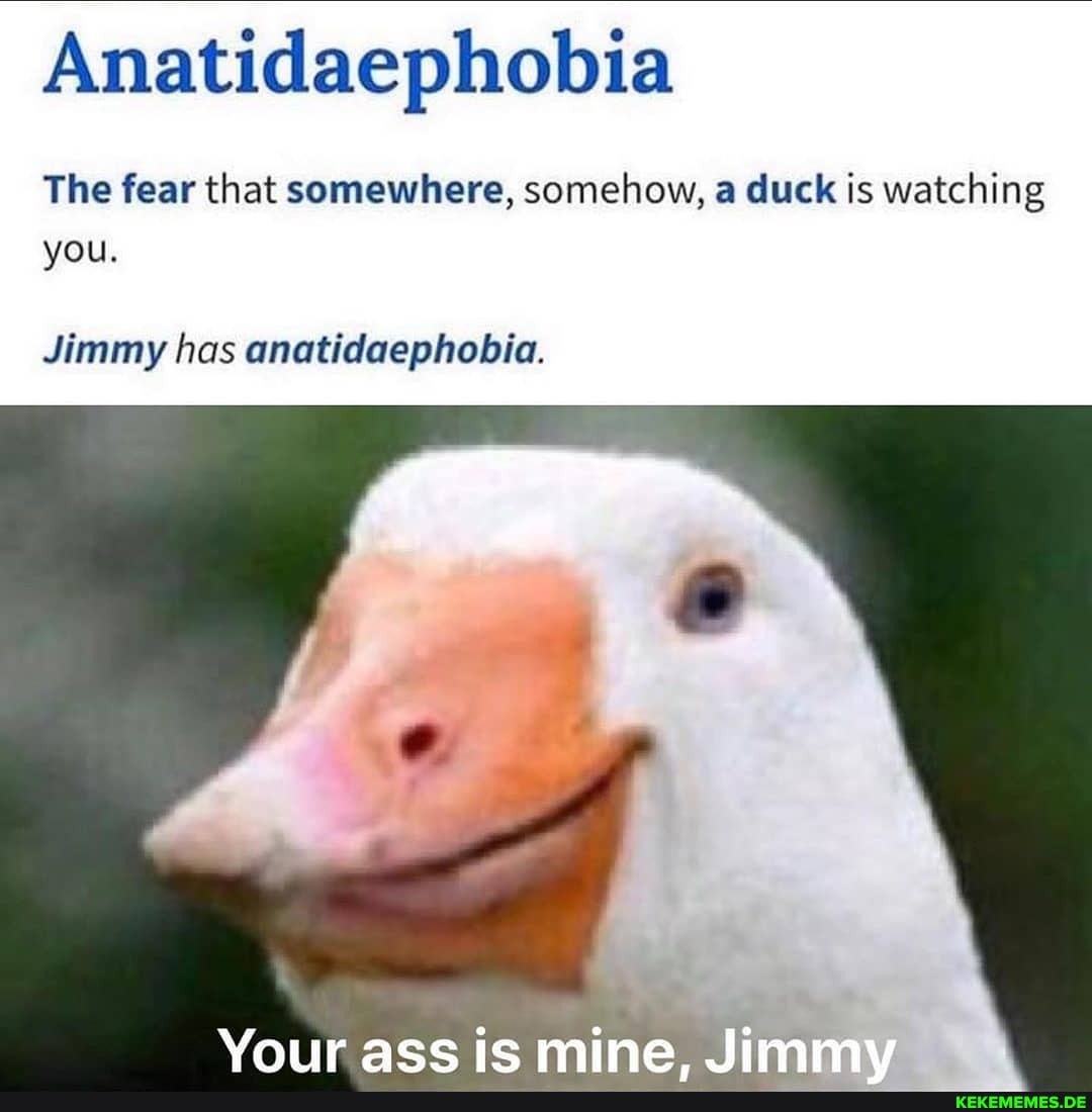 Anatidaephobia
The fear that somewhere, somehow, duck is watching you.
Jimmy has anatidaephobia.
Your ass mine. Jimmy