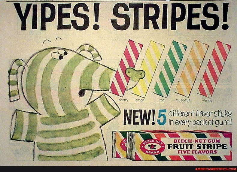 YIPES!
STRIPES!
in pack of gum!
ts
NUT GUM PR Woravore