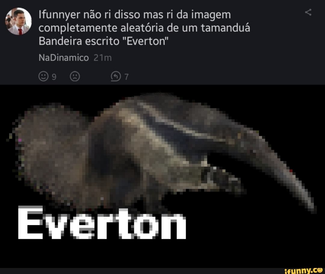 Ifunnyer não ri disso mas ri da imagem
completamente aleatória de um tamanduá
Bandeira escrito "Everton"
NaDinamico