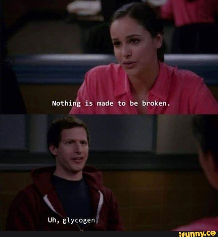 Nothiig is made to be broken. Uh, glycogen. - iFunny