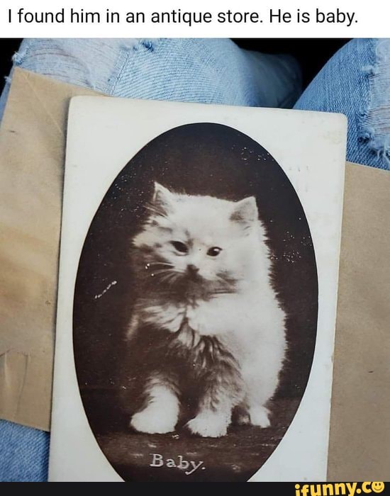 I found him in an antique store. He is baby.