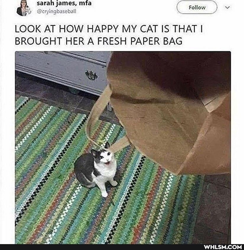 Follow
james,
LOOK AT HOW HAPPY MY CAT IS THAT I BROUGHT HER A FRESH PAPER BAG