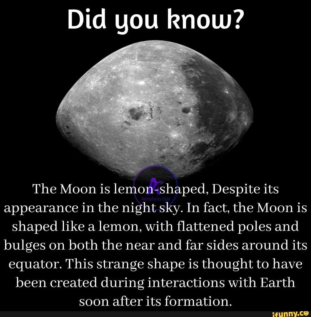 did-you-rnow-the-moon-is-lemon-shaped-despite-its-appearance-in-the