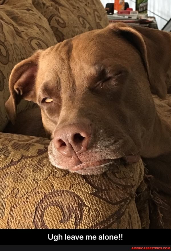 Ugh leave me alone!! - Ugh leave me alone!!