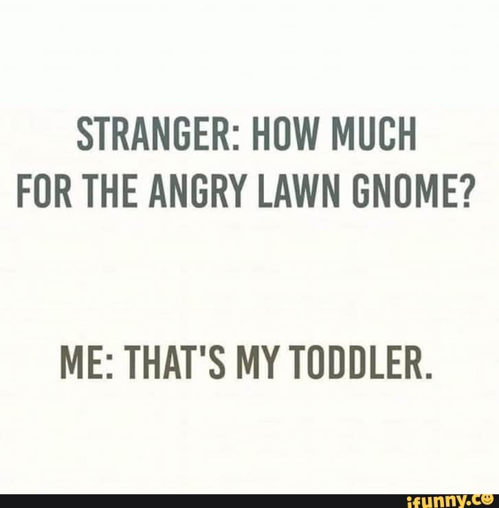 STRANGER: HOW MUCH
FOR THE ANGRY LAWN GNOME?
ME: THAT'S MY TODDLER.