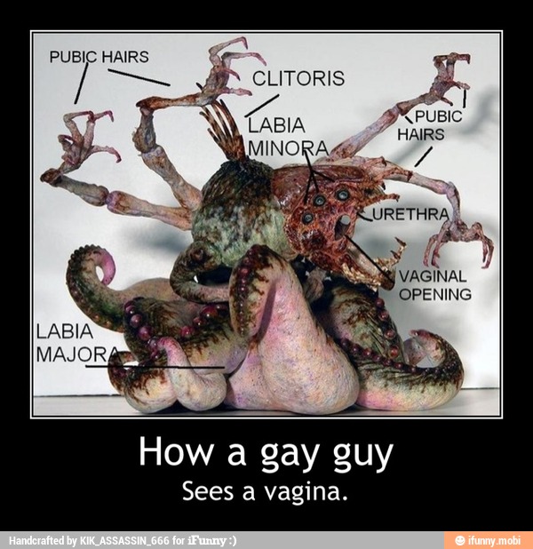 Octopus In Girls Vagina