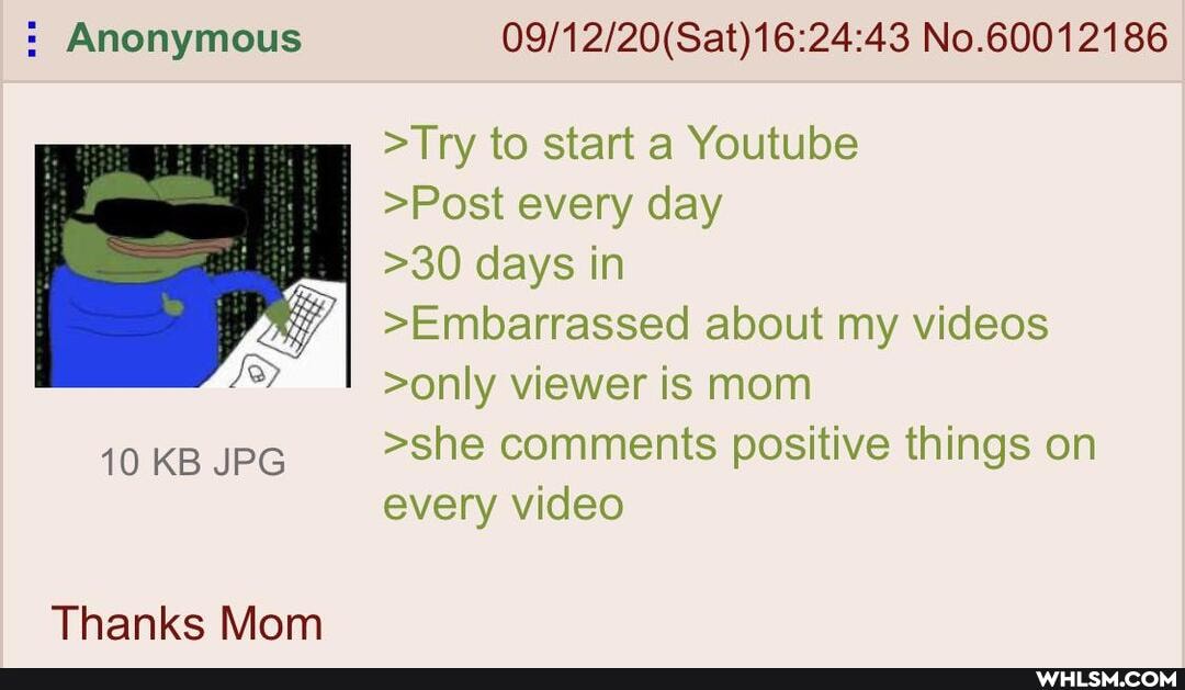 : Anonymous No.60012186
>Try to start a Youtube
>Post every day
>30 days in
>Embarrassed about my videos
>only viewer is mom
10 KB JPG >she comments positive things on every video
Thanks Mom