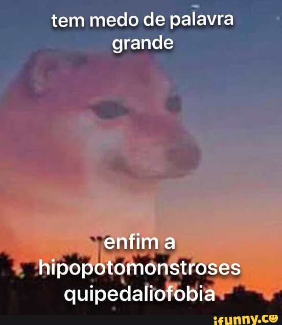 Tem medo de palavra grande enfim a hipopotomonstroses quipedaliofobia - )
