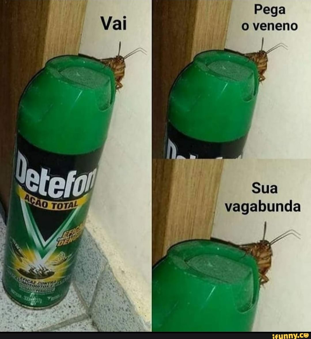 Pega
veneno
Sua vagabunda