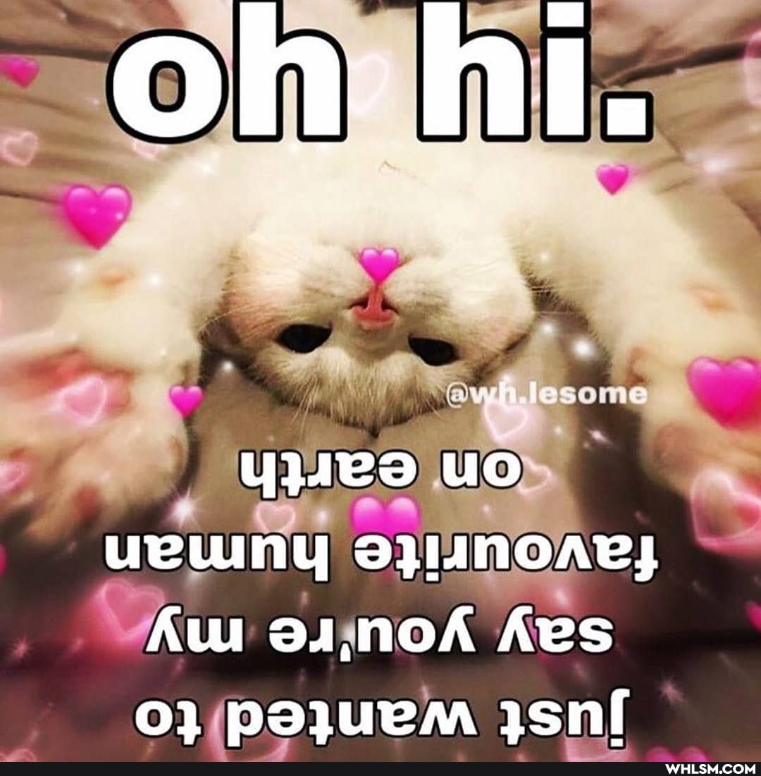 om
we
ueUInY oyMMOEAe; ~
SIMOK
Aw