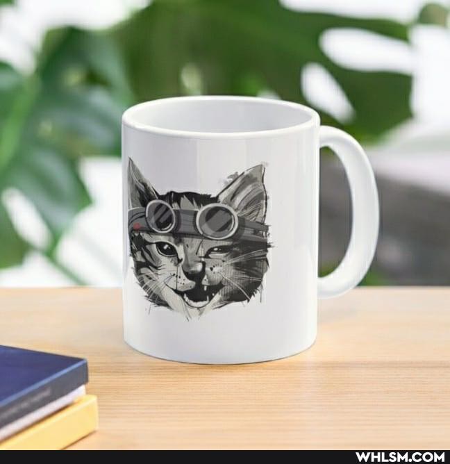 aww, cats, kittens, funny