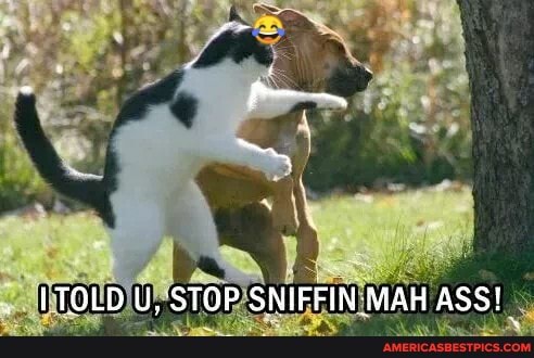 }TOLD U, STGP SNIFFIN-MAH ASS!
