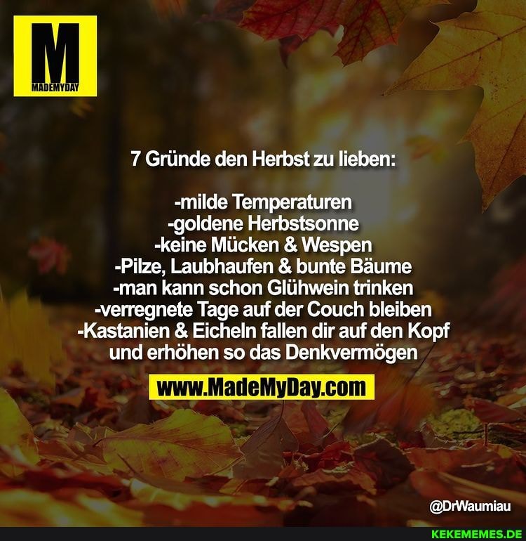 7 Gründe den Herbst zu lieben: -milde Temperaturen goldene Herbstsonne -keine M