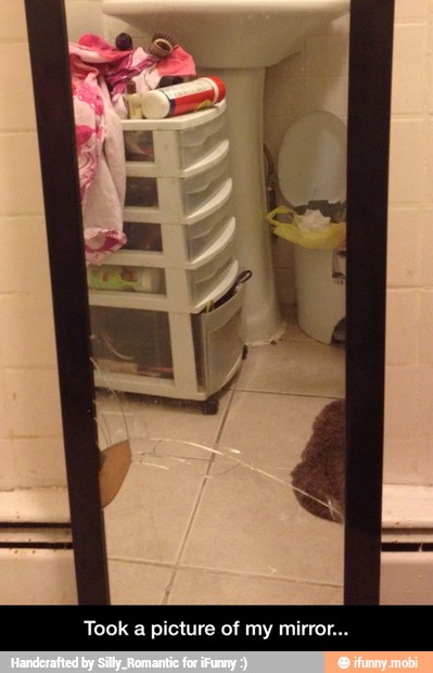 Took a picture of my mirror... - Took a picture of my mirror...