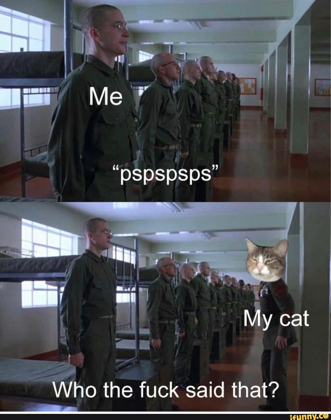 Me
My cat
Who the fuck said that?