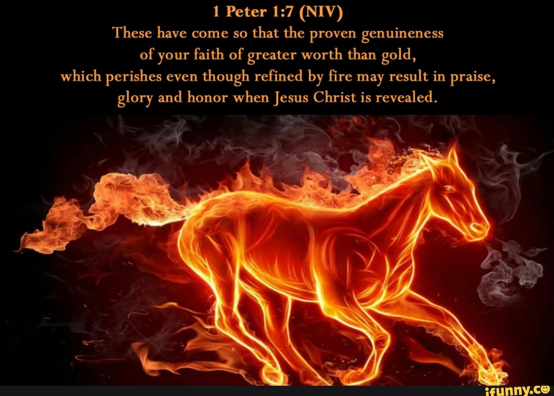 Worth than. зреет хлеб. Worth than. You are all equally worthless. Worth than.