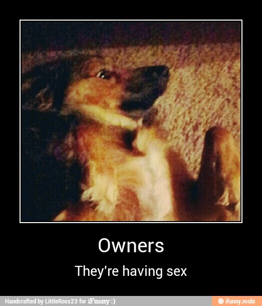 Owners
They're having sex - Owners
They're having sex