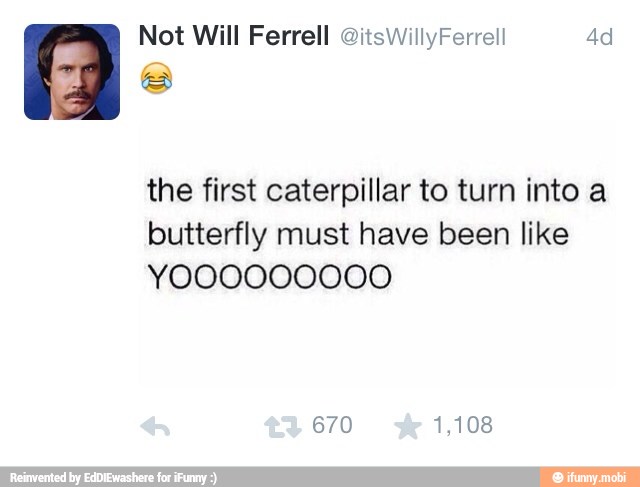 Not Will Ferrell OitsWillyFerrell 4d
the first caterpillar to turn into a
butterfly must have been like