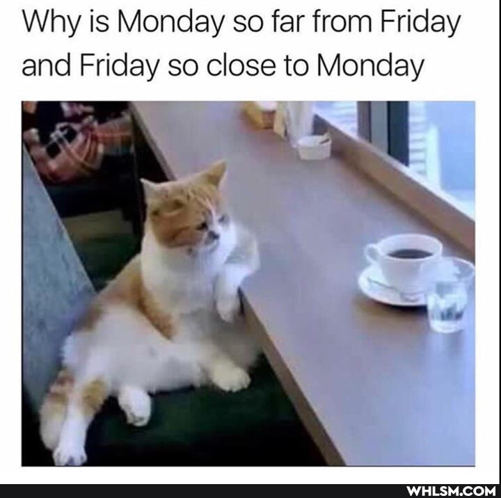 Why is Monday so far from Friday and Friday so close to Monday
LI