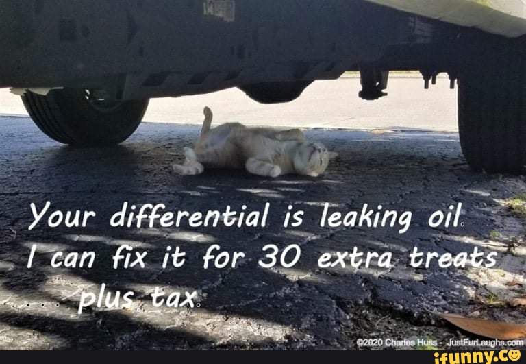 Your differential is leaking oil can fix it for 30 extra treats 'plus