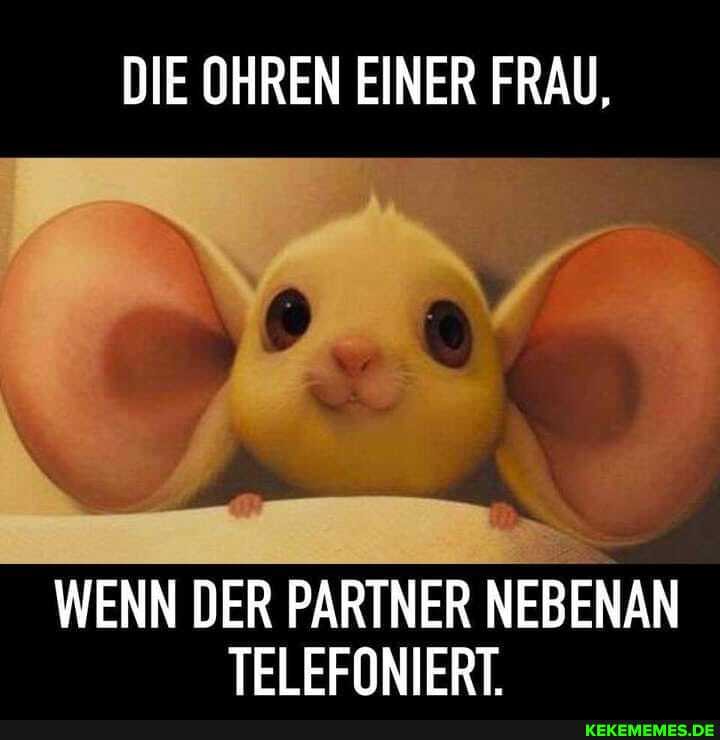 DIE OHREN EINER FRAU,
WENN DER PARTNER NEBENAN
TELEFONIERT.