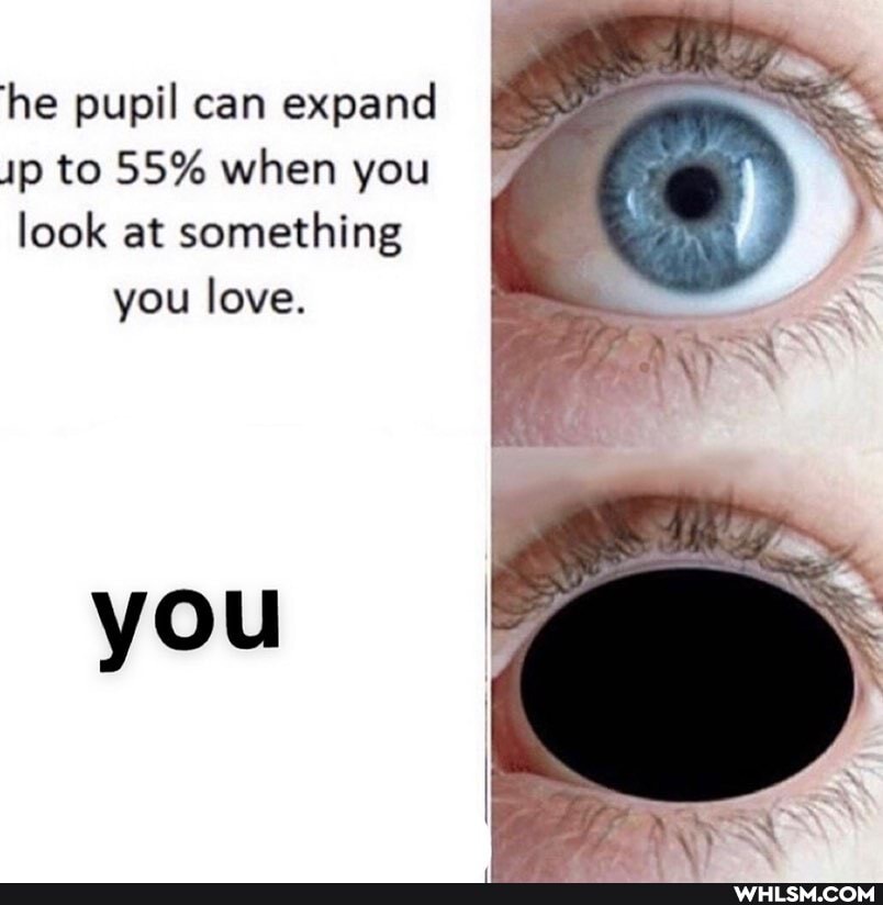 he pupil can expand ip to 55% when you look at something you love.
you
