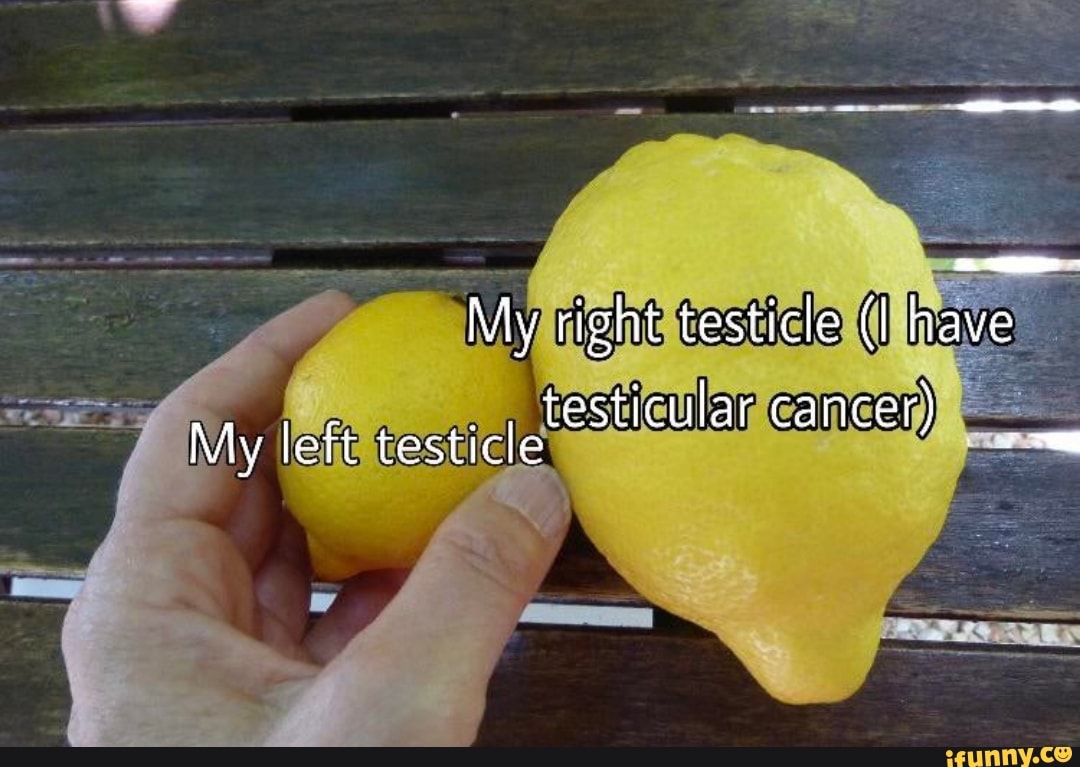 Testicle memes. Best Collection of funny Testicle pictures on iFunny
