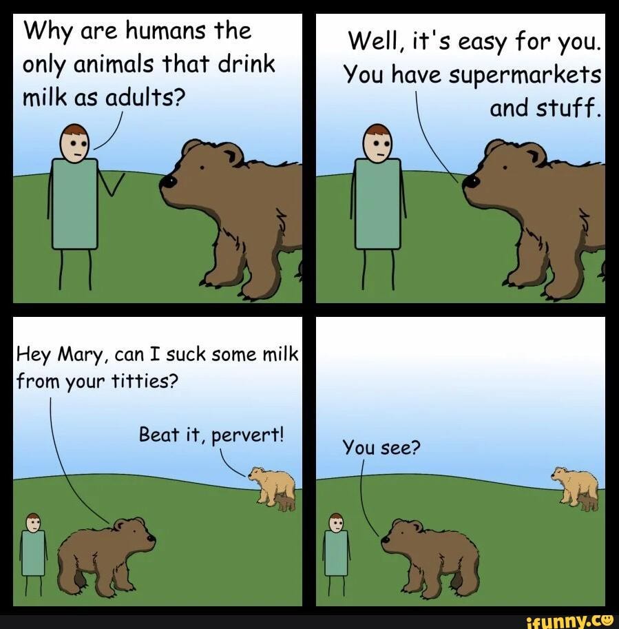 “Why Are Humans The Only Animals That Drink Milk As Adults?” 