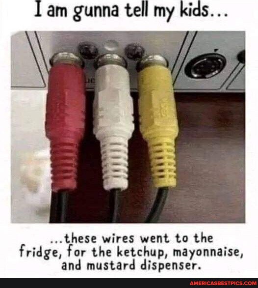 Am gunna tell my kids... these wires went to the fridge, for the