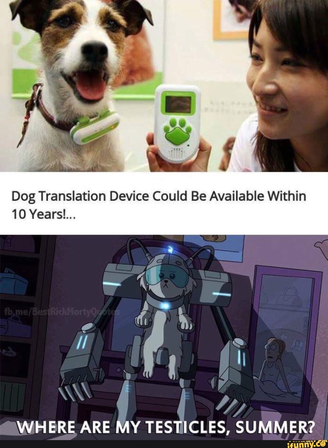 dog-translation-device-could-be-available-within-10-years-tes