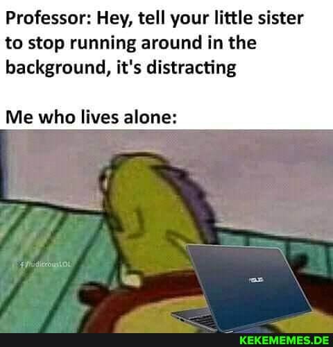 Professor: Hey, tell your little sister to stop running around in the
background, it's distracting
Me who lives alone: