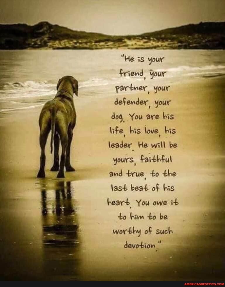 "He is your
Friend your partner your defender your dog, You are his
life his love his
leader He will be yours, faithful and true to the last beat of bis heart You owe it to him to be worthy of such
devotion