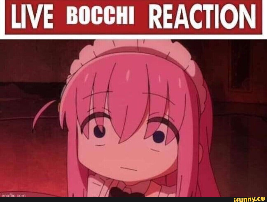 Live Bocchi Reaction I Seo Title