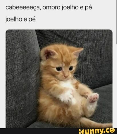 cabeeeeeça, ombro joelho e pé
joelho e pé
