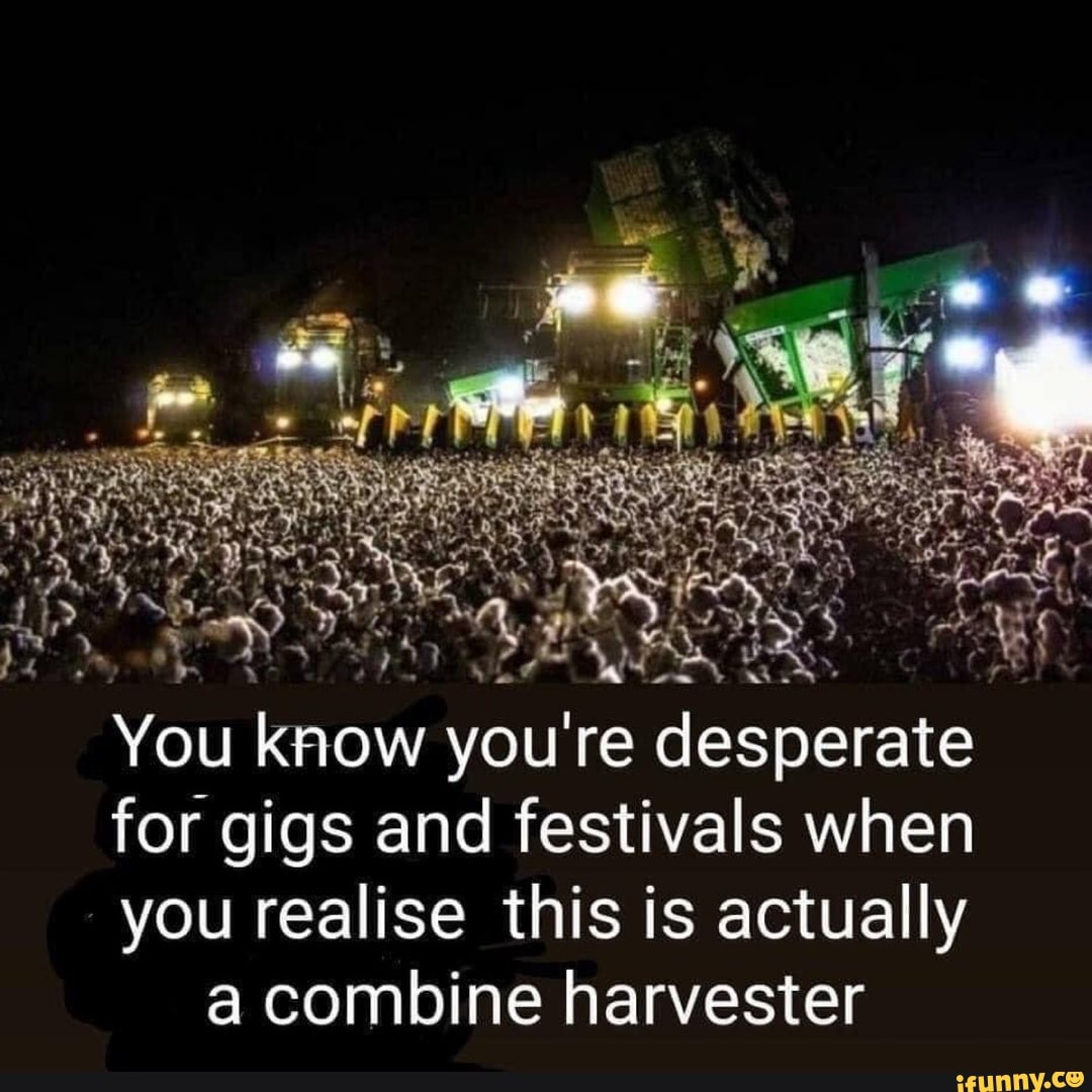 You iow you're for gigs and festivals when you realise this is actually